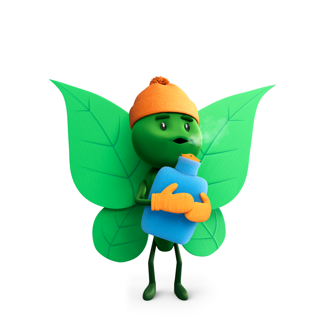 Friendly winter energy-saving Bruce the butterfly holding a hot water bottle, representing home warmth, energy efficiency, heating support and reduced energy consumption during cold weather."