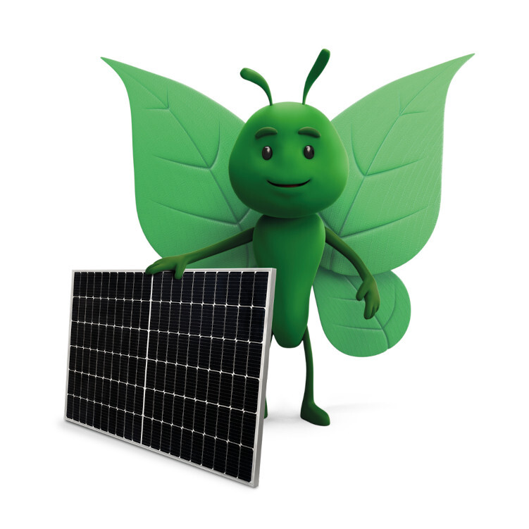 Bruce the butterfly holding a solar panel