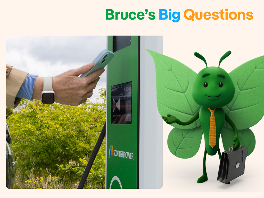 Bruce the butterfly with suitcase