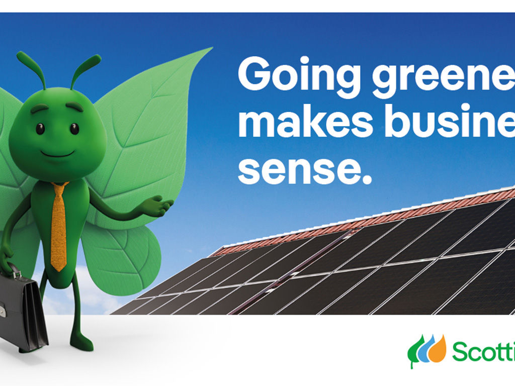 bruce the butterfly with suitcase and solar panels on a roof