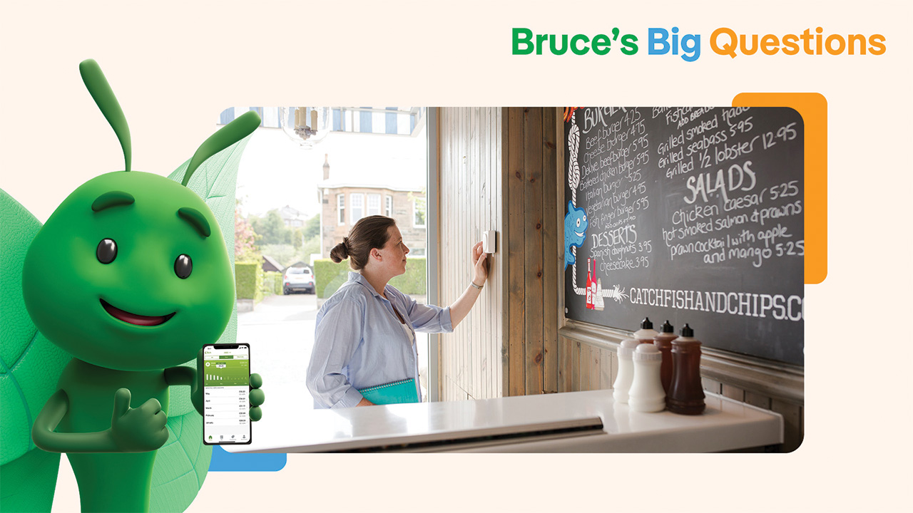 bruce the butterfly with women written on a board