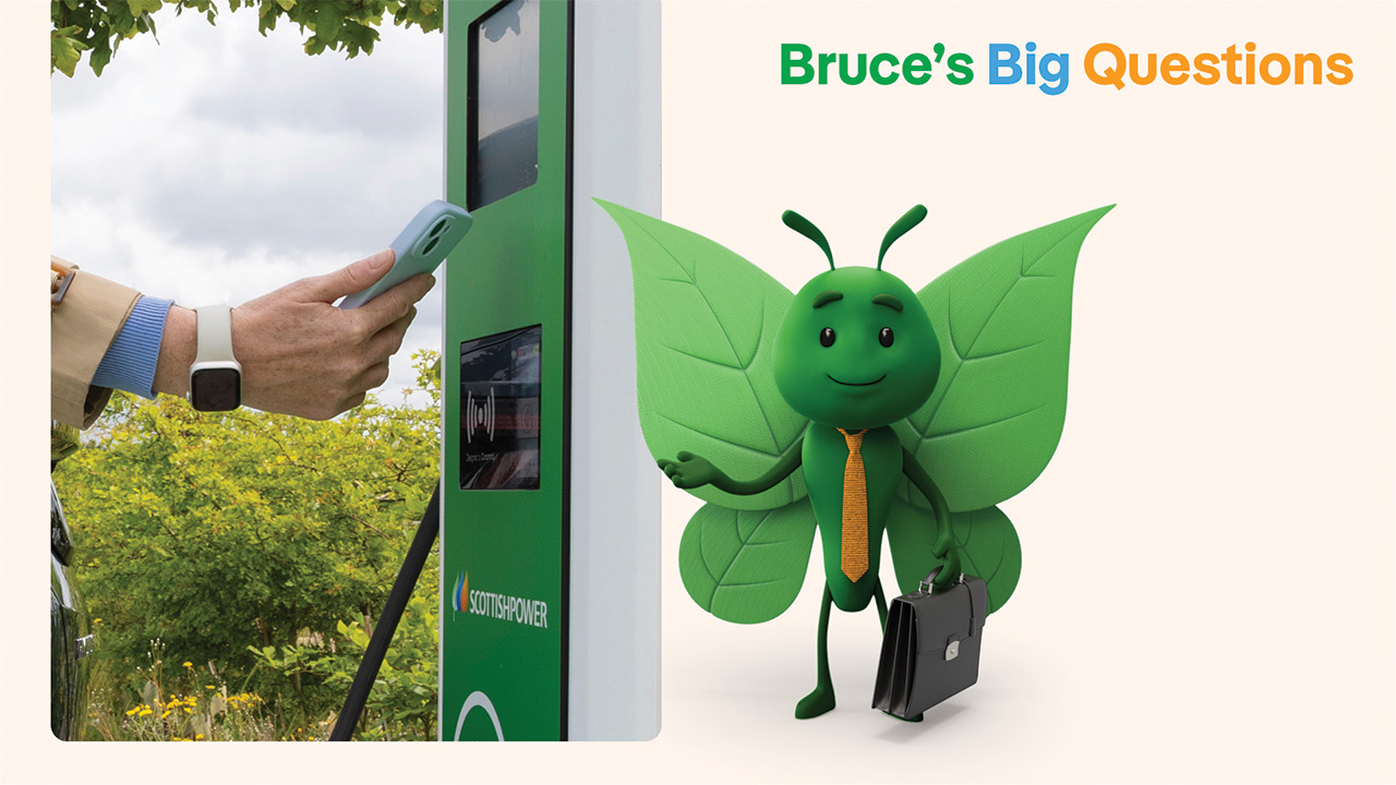 Bruce the butterfly with suitcase