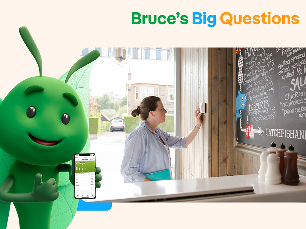 bruce the butterfly with women written on a board