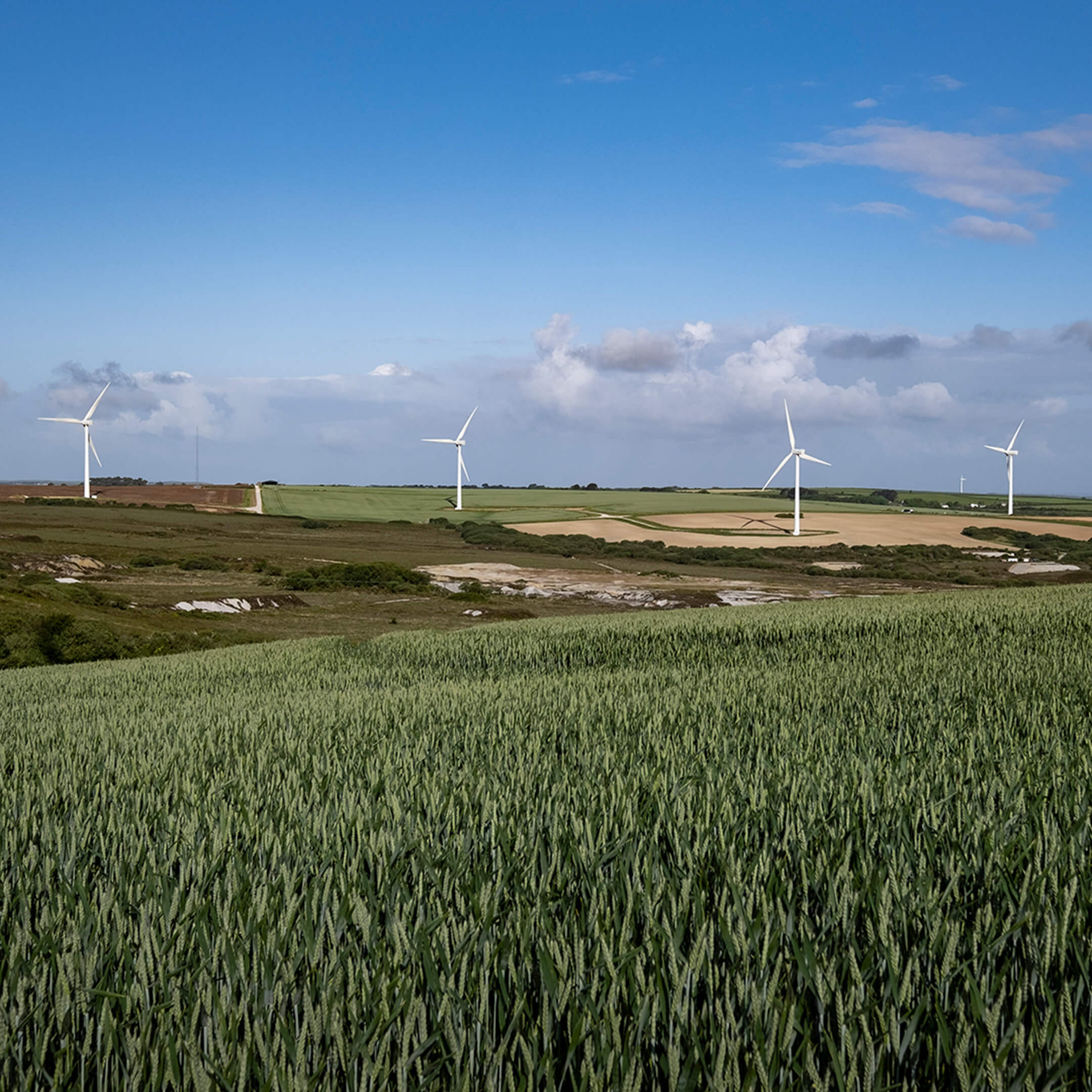 field and windfarms 