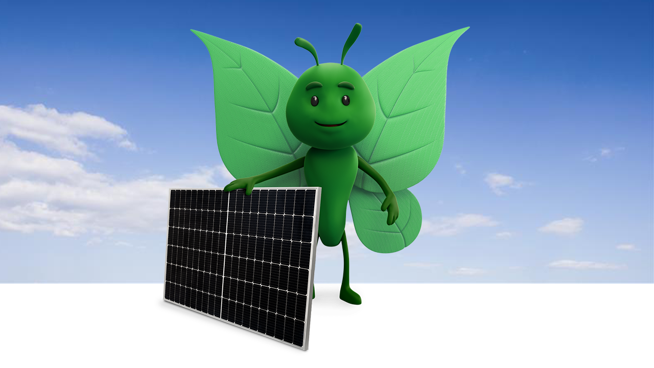 Bruce the butterfly holding solar panel